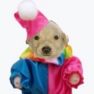 picture of Filbert